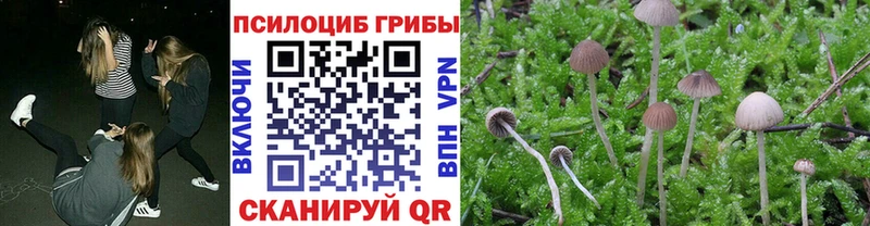 как найти закладки  дарк нет как зайти  кракен рабочий сайт  Галлюциногенные грибы ЛСД  Моздок 