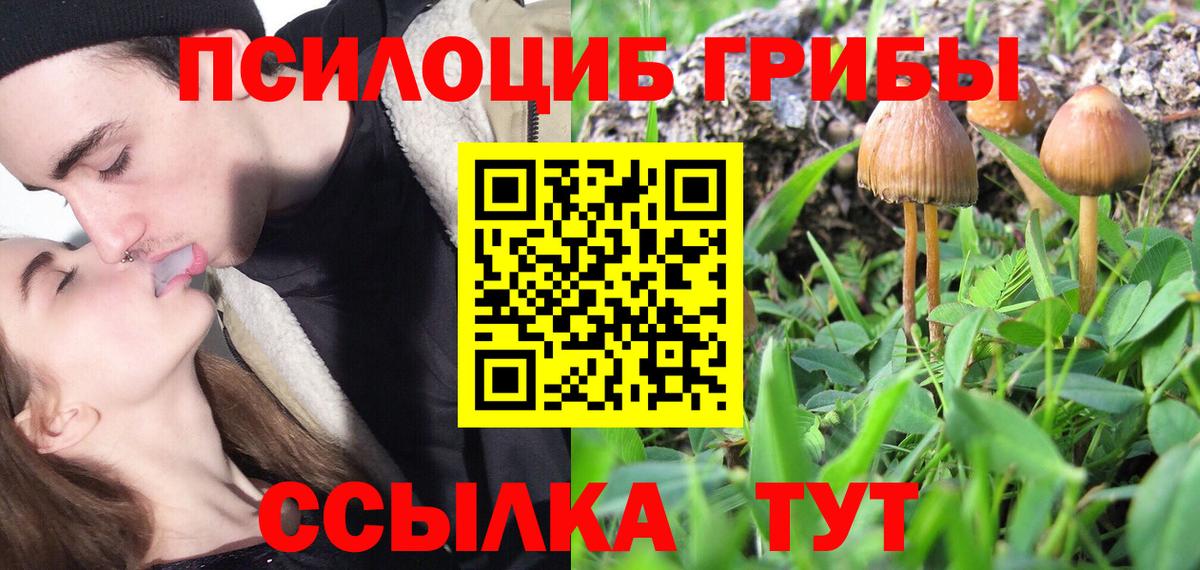 Псилоцибиновые грибы Psilocybine cubensis Моздок